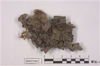 藏品(黏貓耳衣)的圖片